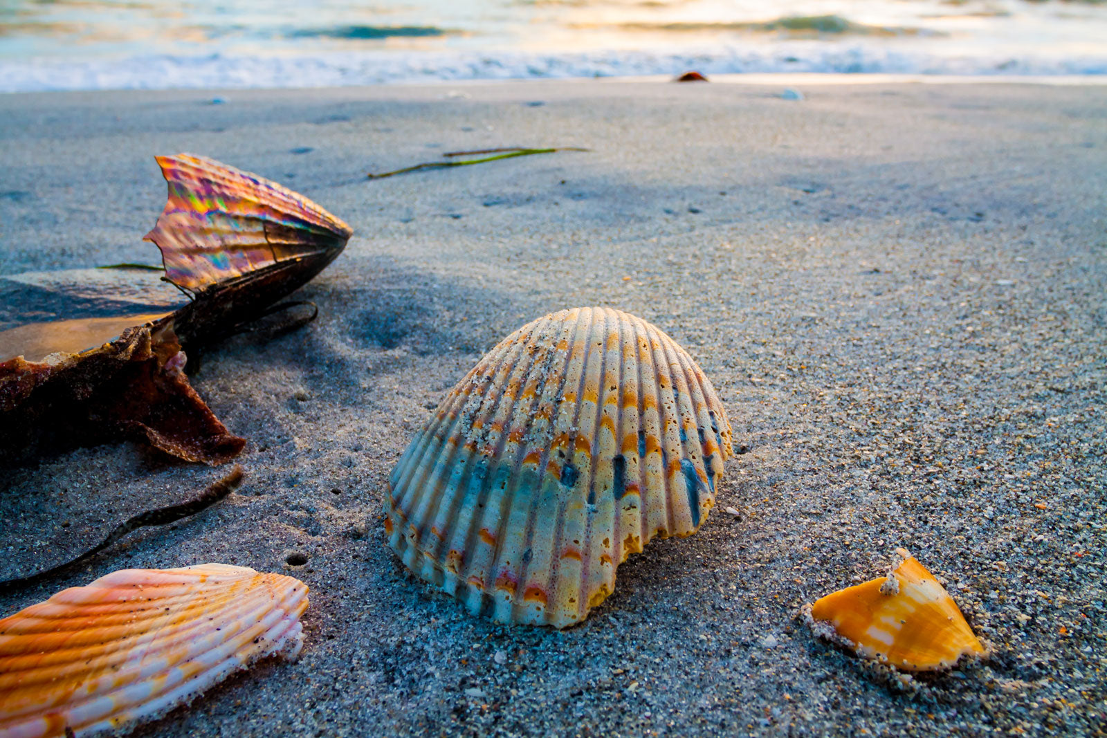 Sanibel Island Florida
