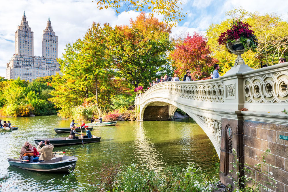 All About New York's Central Park - Tranquility and Rest to the Mind