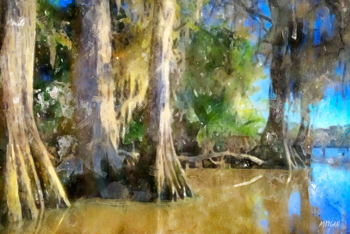 Swamp Giants - New Orleans Water Color Art Print