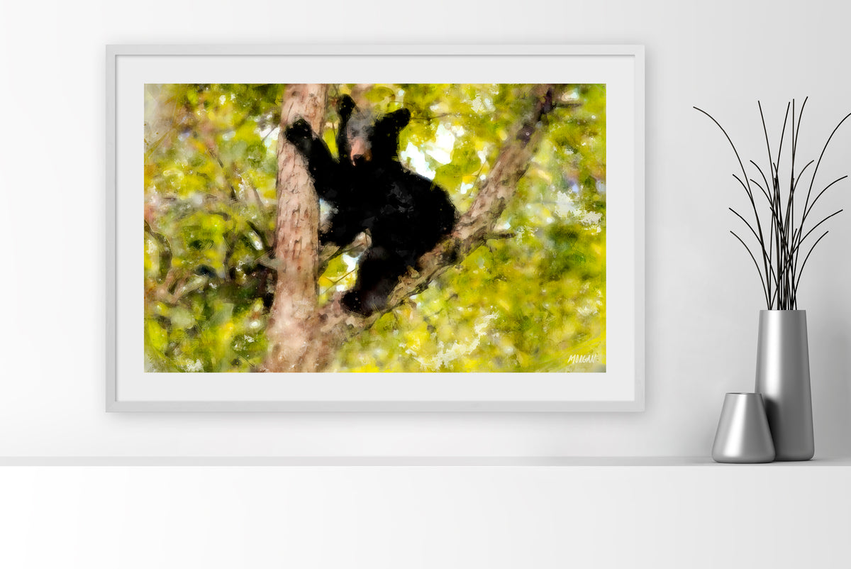 Black Bear Art Print with White Frame