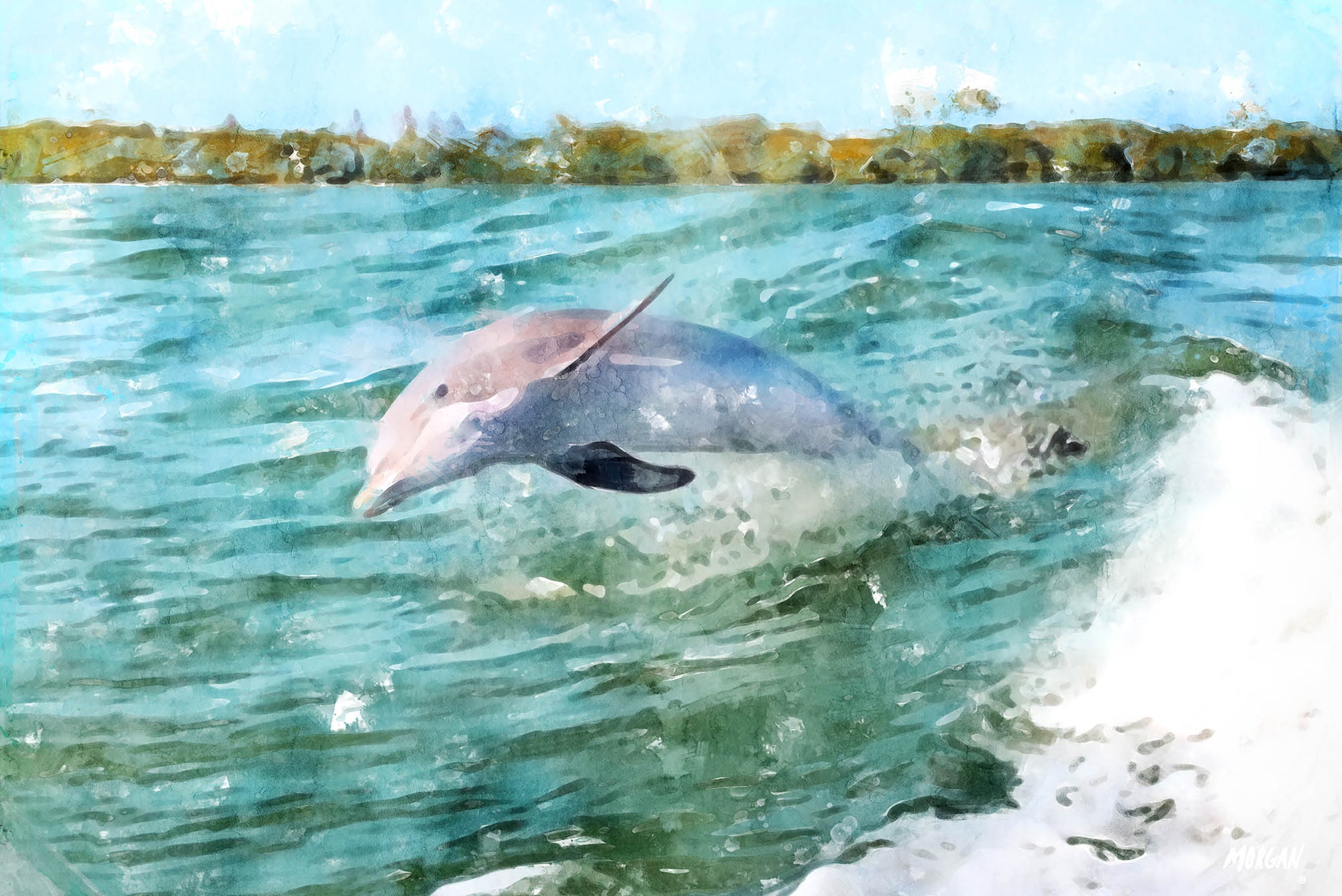 Dolphin Watercolor Canvas