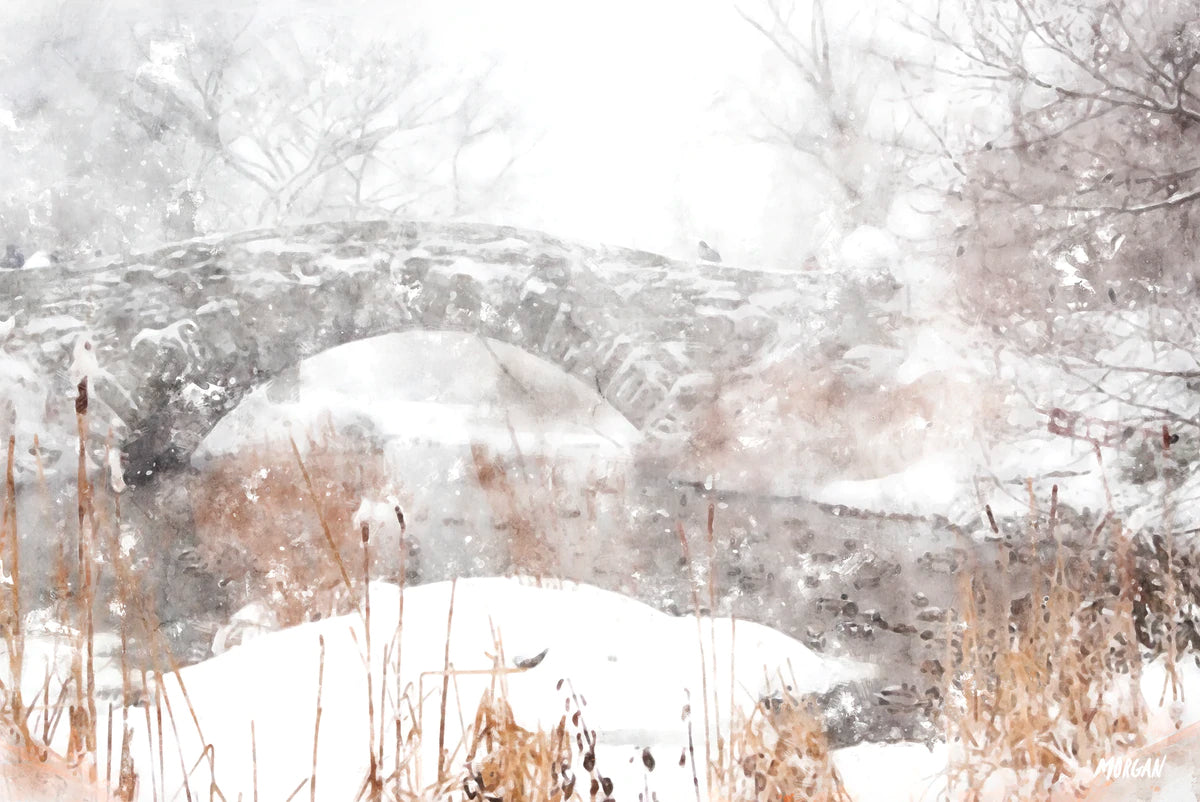 Canvas Art - Gapstow Bridge Central Park NYC