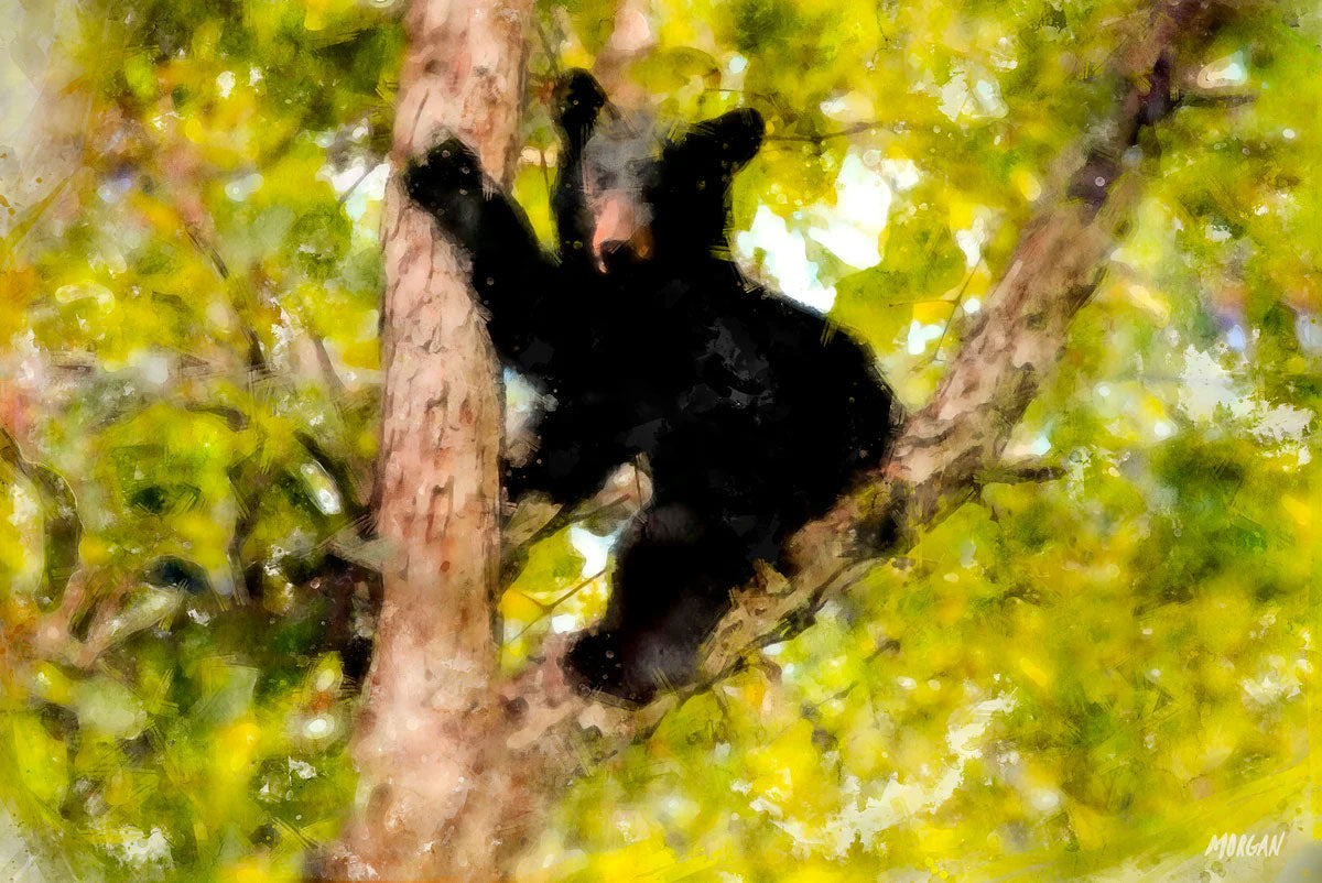 The Climber Art Product