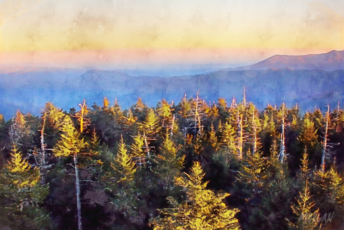 From Clingmans Dome - Great Smoky Mountains Art Cards