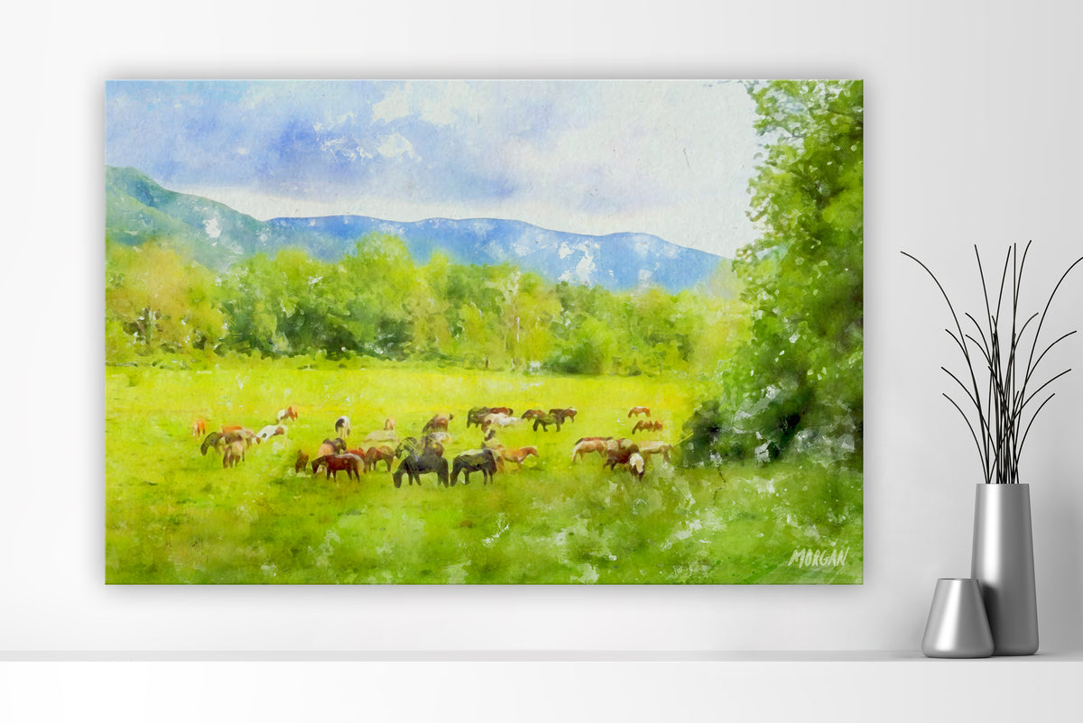 Horses at Cades Cove – Smoky Mountains extra large canvas art print.