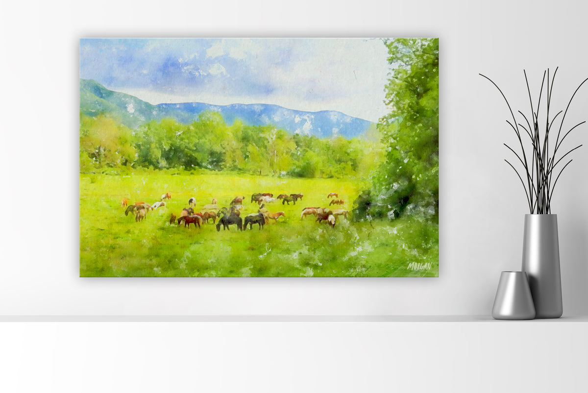 Horses at Cades Cove – Smoky Mountains large canvas art print.