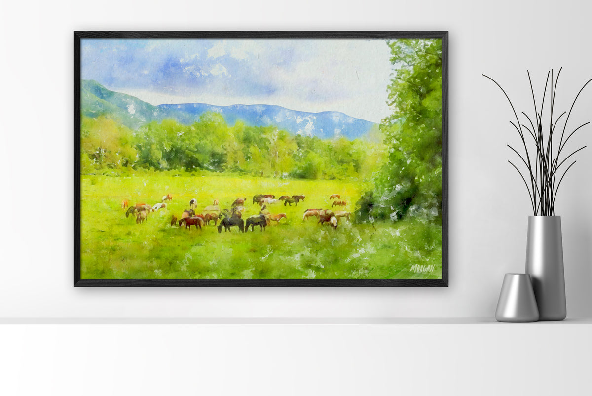 Horses at Cades Cove – Smoky Mountains large canvas art print with black frame.