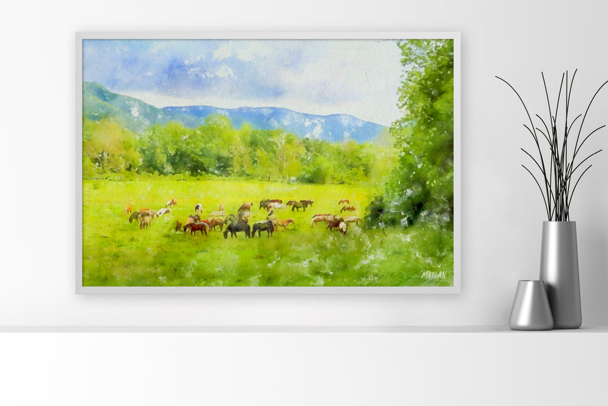 Horses at Cades Cove – Smoky Mountains large canvas art print with white frame.