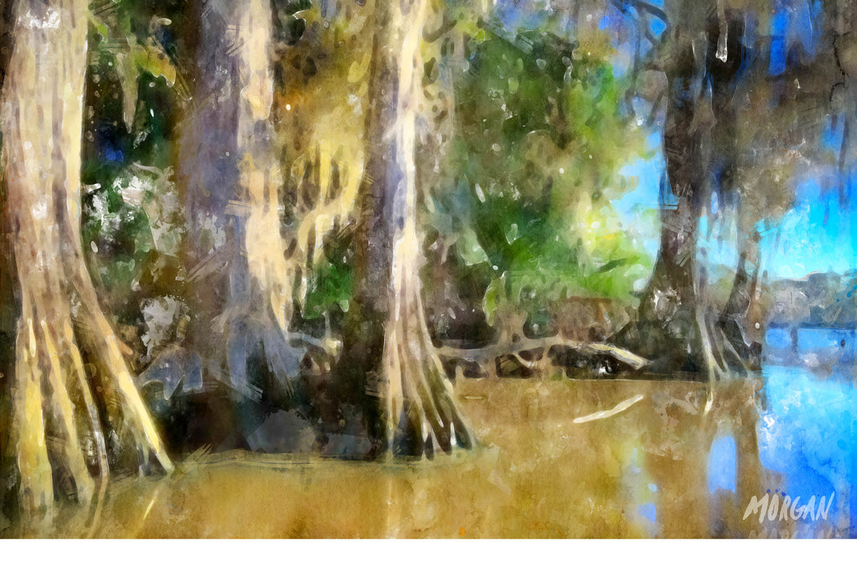 Swamp Giants - New Orleans Art Cards