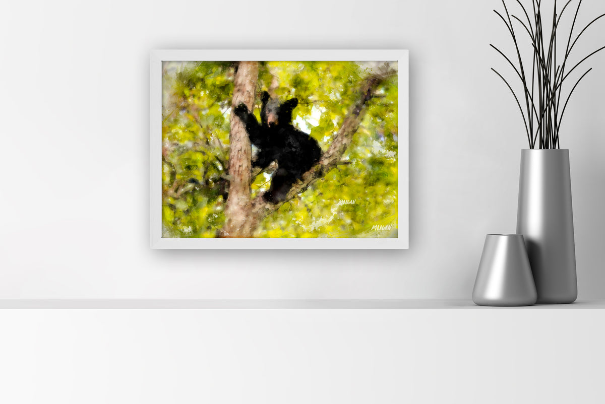 Black bear cub in the smoky mountains small canvas art print with white frame.