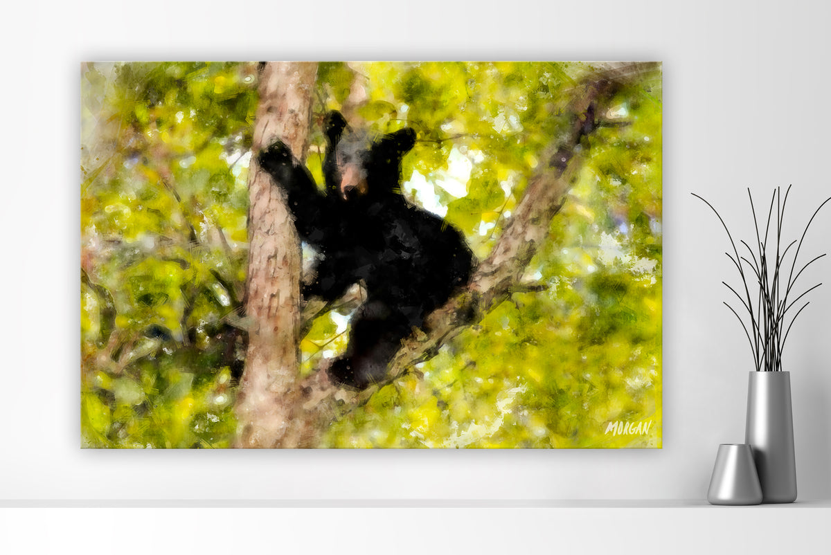 Black bear cub in the smoky mountains extra large canvas art print.