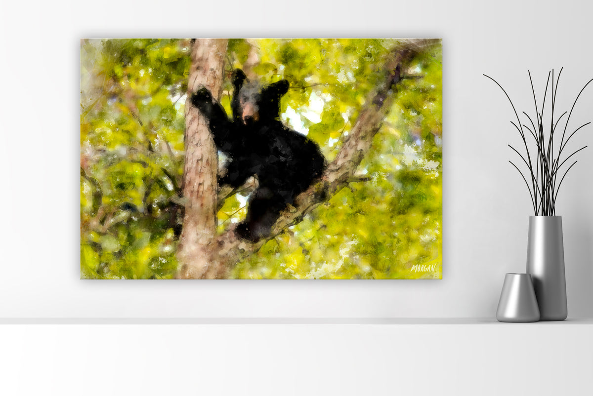 Black bear cub in the smoky mountains large canvas art print.