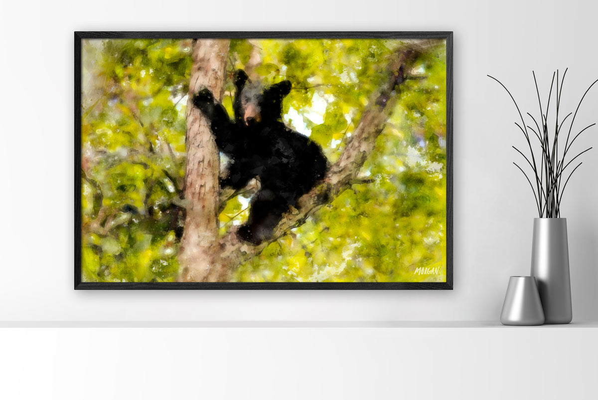 Black bear cub in the smoky mountains large canvas art print with black frame.