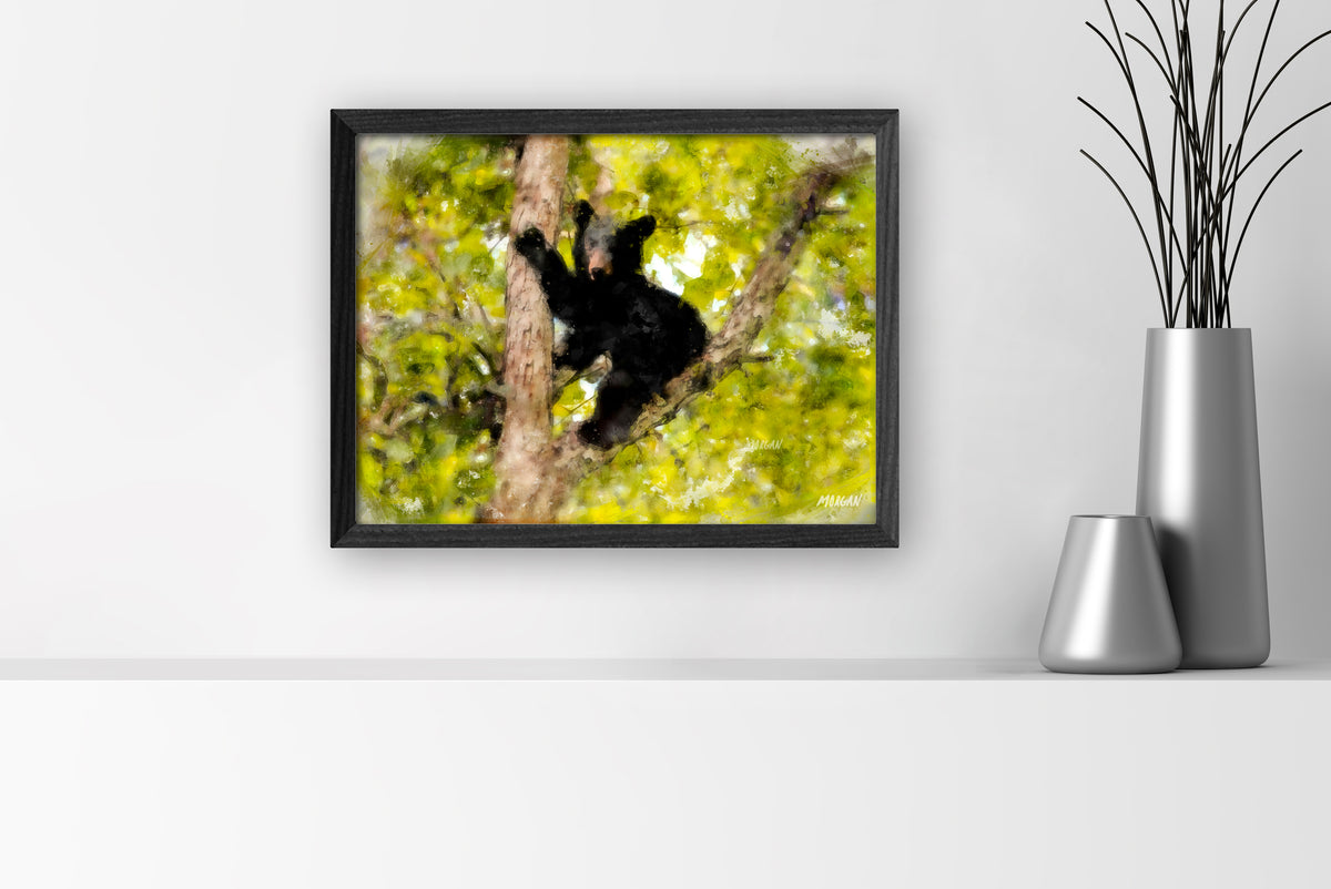 Black bear cub in the smoky mountains small canvas art print with black frame.