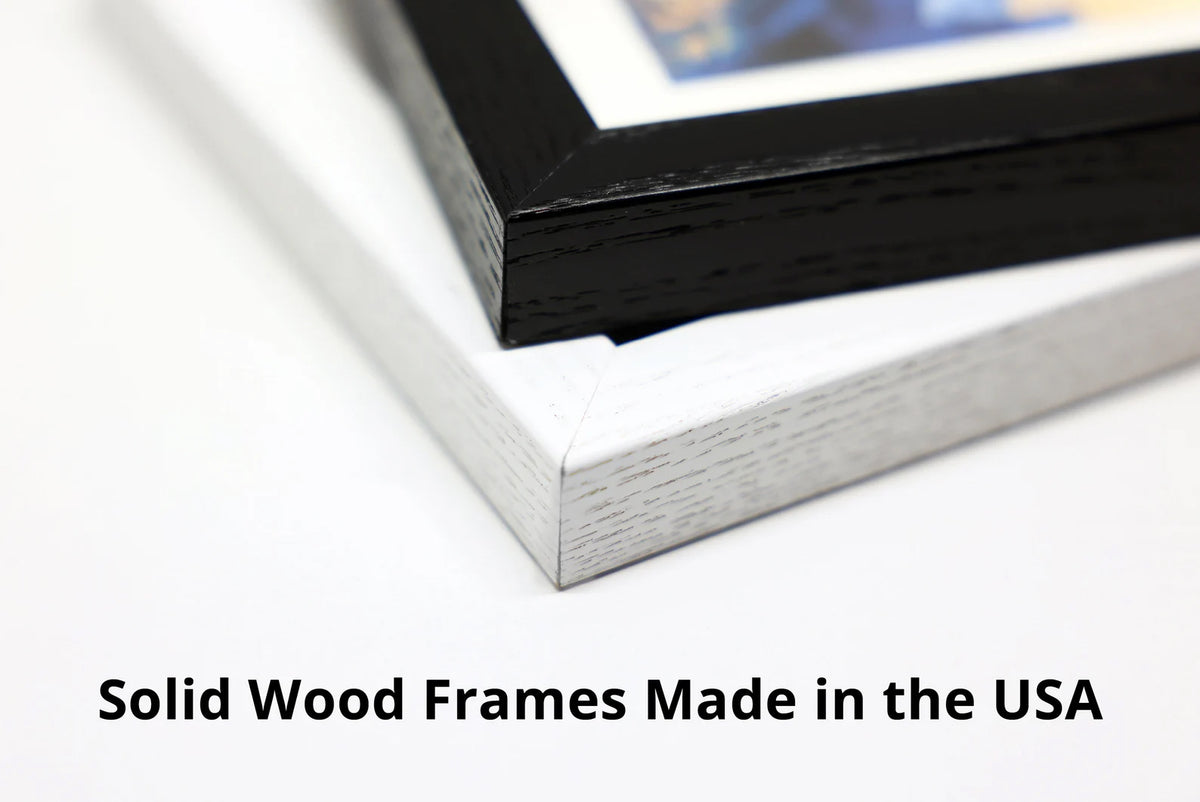 G.O.A.T art frames. Hand made in the USA.